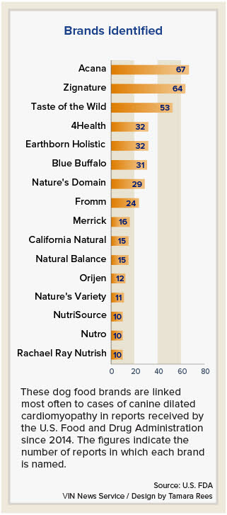 Grain free 2025 dog food issues